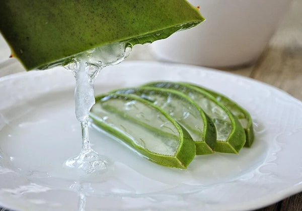 Aloe Vera 200:1
