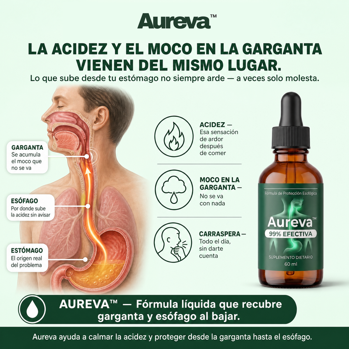 Aureva™ - Reparación Esofágica